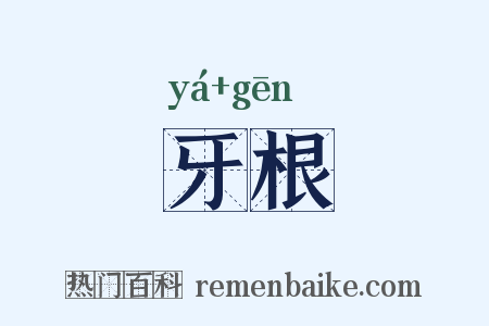 牙根是什么意思的图片